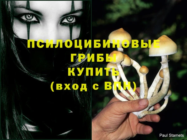 стаф Володарск