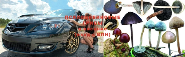 героин Вяземский