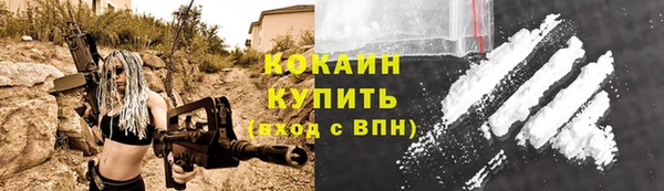 стаф Володарск